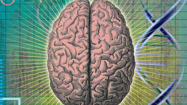 The brain that defied Alzheimer’s