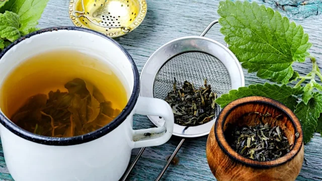 Herbal Tea Recipes – Healthy Homemade Teas from Herbs