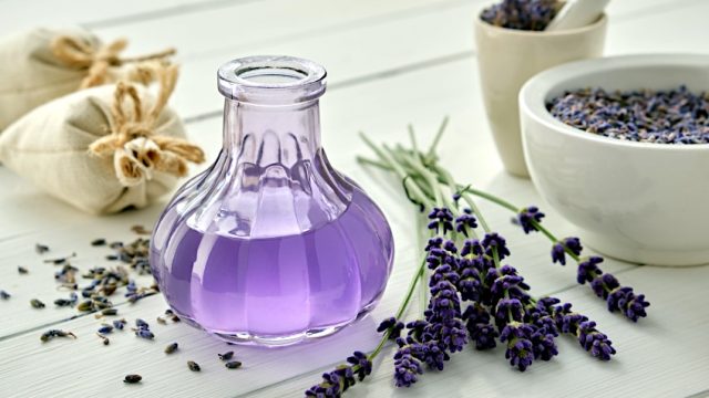 Lavender Tea Benefits – More Than Just a Pretty Flower