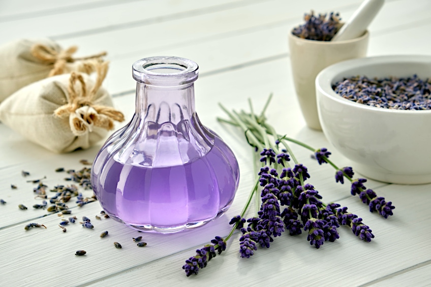 Lavender Tea Benefits – More Than Just a Pretty Flower