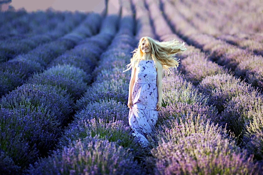 What are the Benefits of Lavender