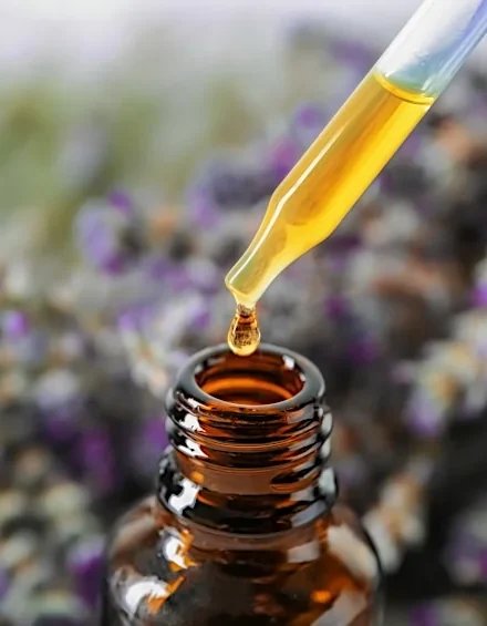 How to Make Lavender Essential Oil – DIY Lavender Oil Recipes