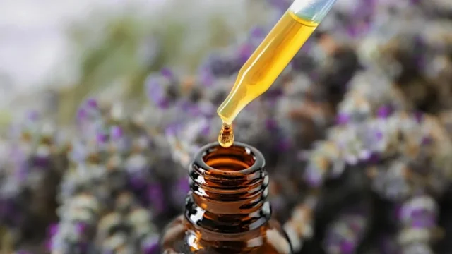 How to Make Lavender Essential Oil – DIY Lavender Oil Recipes